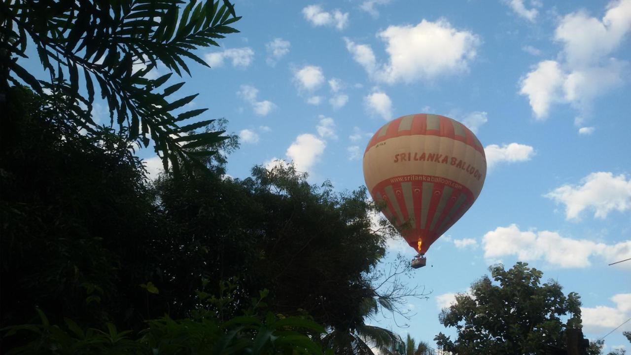 Nilambara Lake View Dambulla Exteriör bild