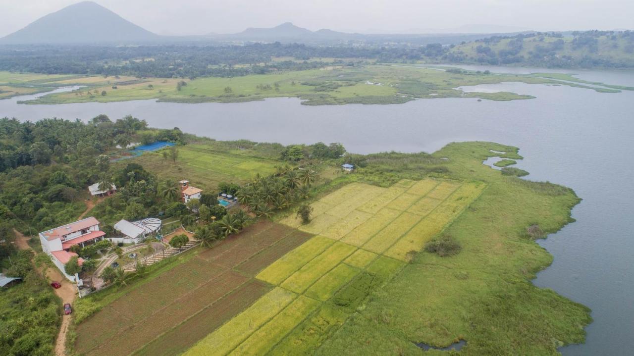 Nilambara Lake View Dambulla Exteriör bild