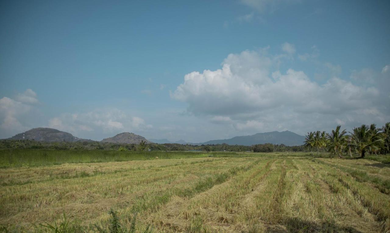 Nilambara Lake View Dambulla Exteriör bild