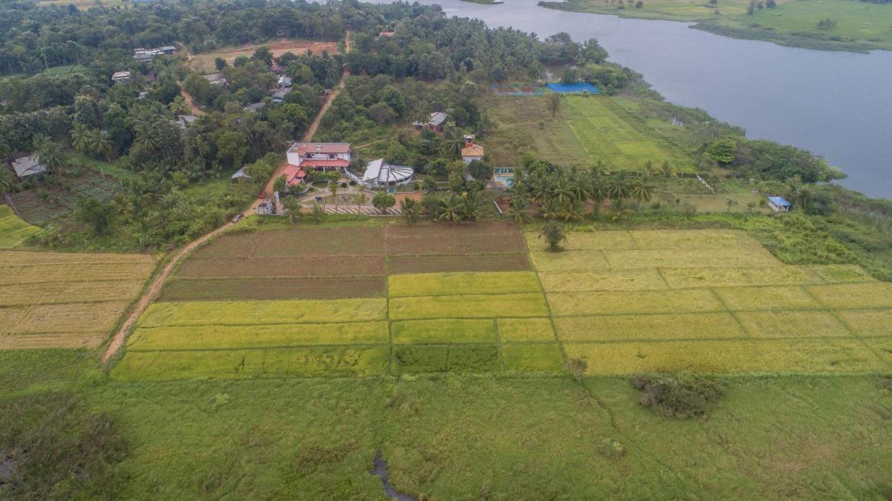 Nilambara Lake View Dambulla Exteriör bild
